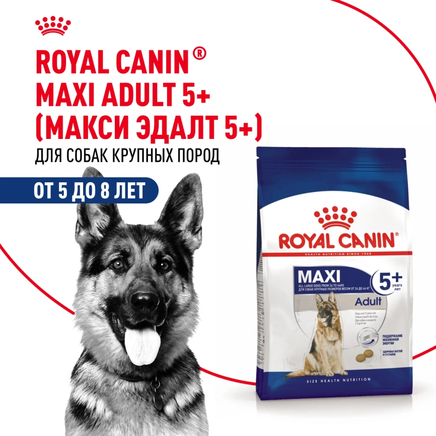 Сухой корм Royal Canin Maxi Adult 5+ для собак, 15 кг фото 12