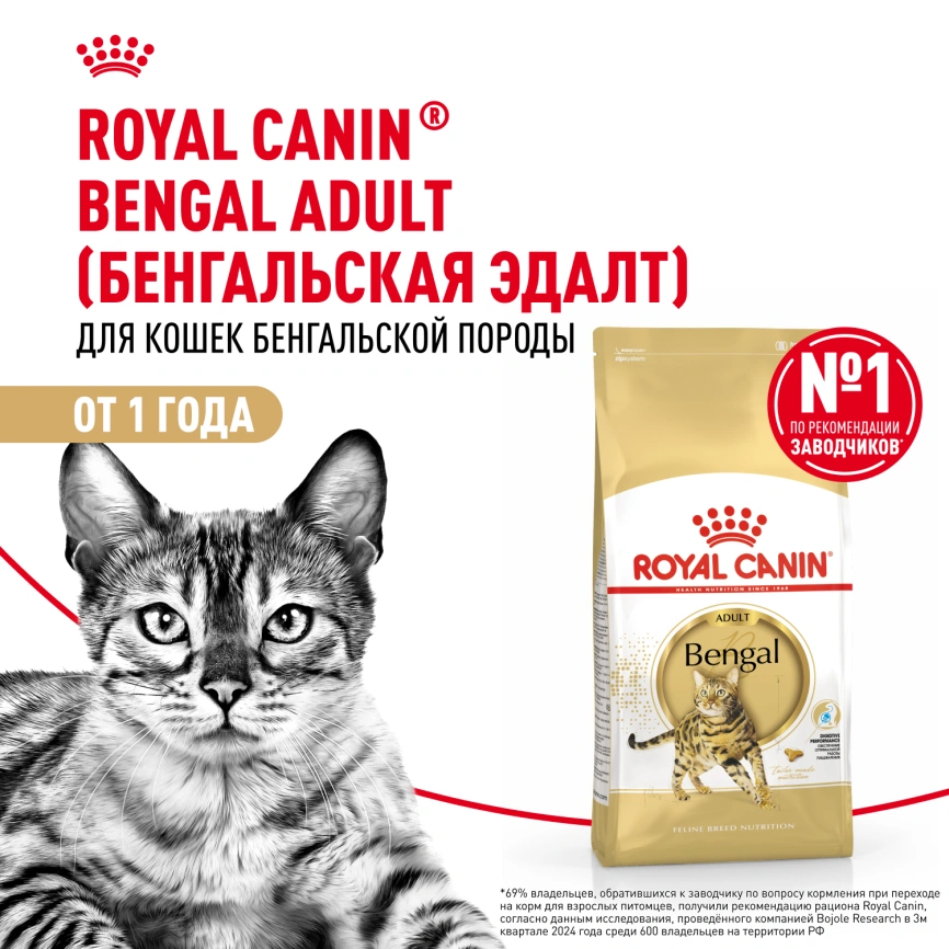 Сухой корм Royal Canin Bengal для кошек бенгальской породы, 2 кг фото 12
