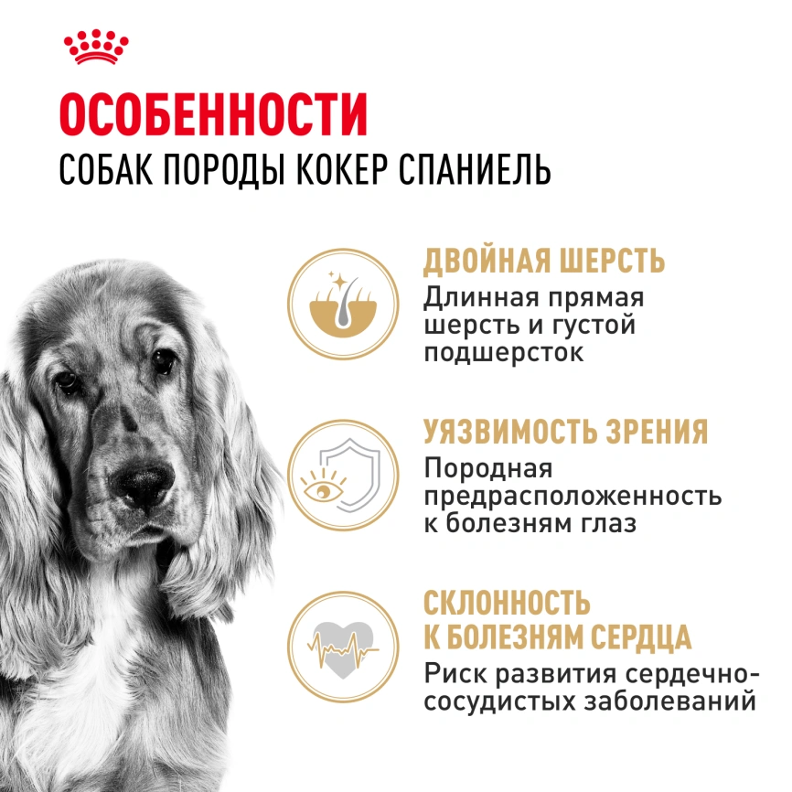 Сухой корм Royal Canin Cocker Adult для собак породы кокер-спаниель, 3 кг фото 2