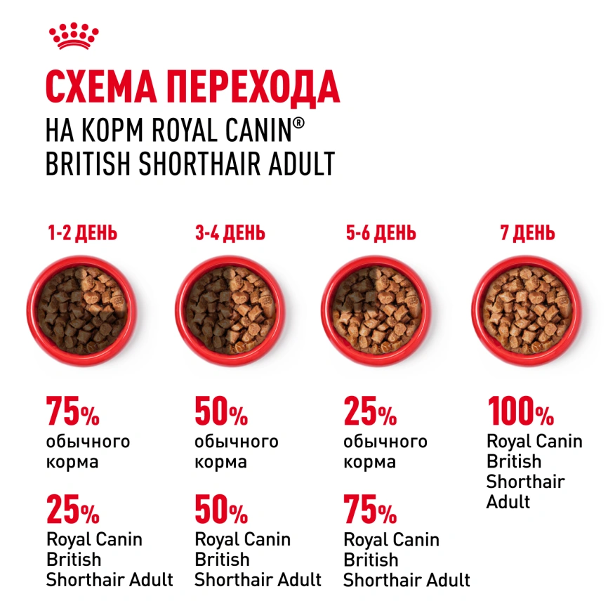 Влажный корм Royal Canin British Shorthair в соусе для кошек породы британская короткошерстная и шотландская вислоухая старше 1 года, пауч, 85 г фото 6