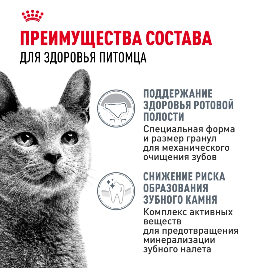 Сухой корм Royal Canin Dental Care для кошек, 400 г фото 3