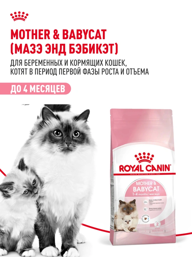 Сухой корм Royal Cаnin Mother & Babycat для котят, беременных и лактирующих кошек, 400 г фото 14