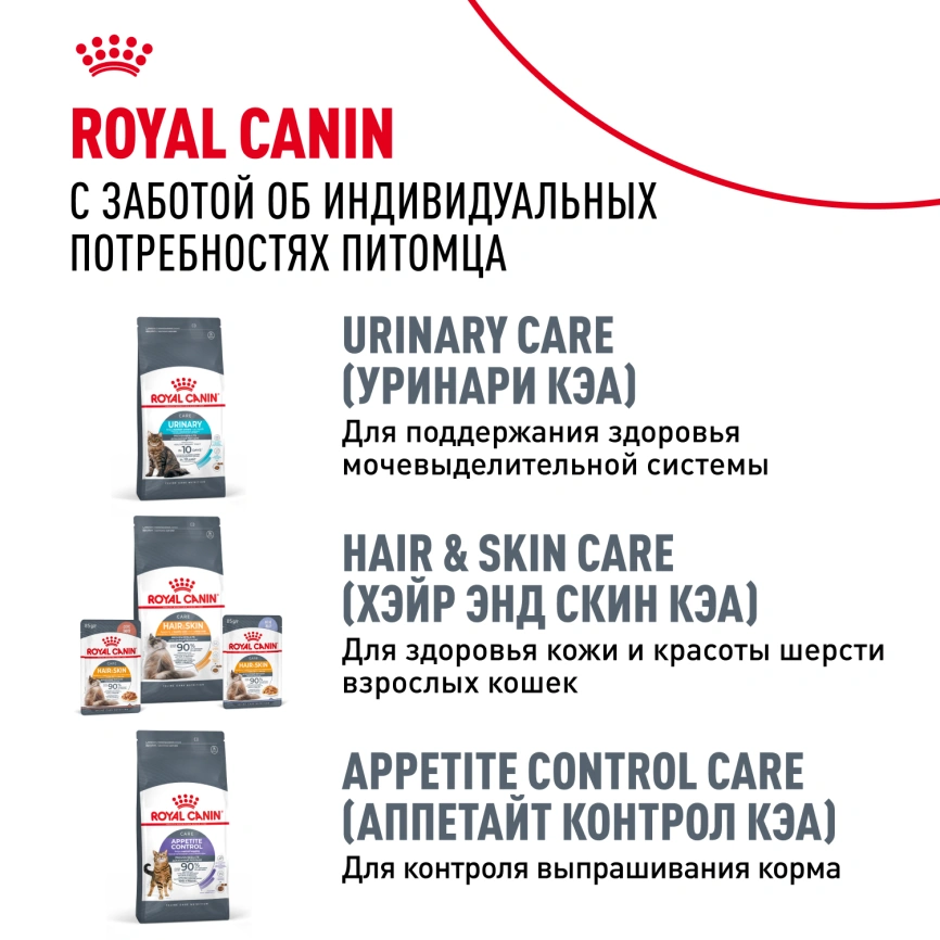 Влажный корм Royal Canin Maine Coon в соусе для кошек породы мейн-кун и других крупных пород старше 1 года, пауч, 85 г фото 11