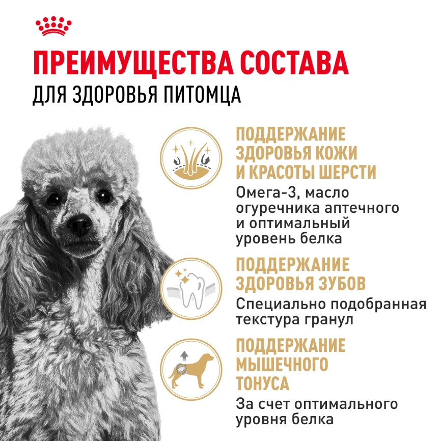 Сухой корм Royal Canin Poodle Adult для взрослых собак, 3 кг фото 3