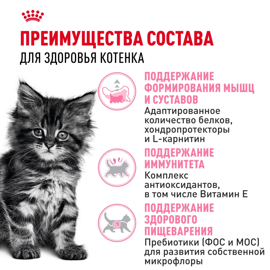 Сухой корм Royal Canin Kitten Maine Coon для котят, 4 кг фото 3