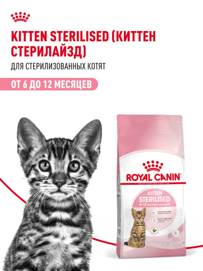 Сухой корм Royal Canin Kitten Sterilised для котят, 400 г фото 20