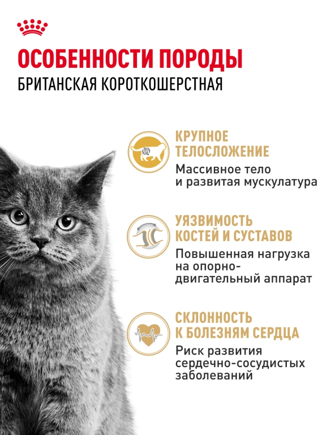Сухой корм Royal Canin British Shorthair для кошек породы британская короткошерстная, 2 кг фото 28