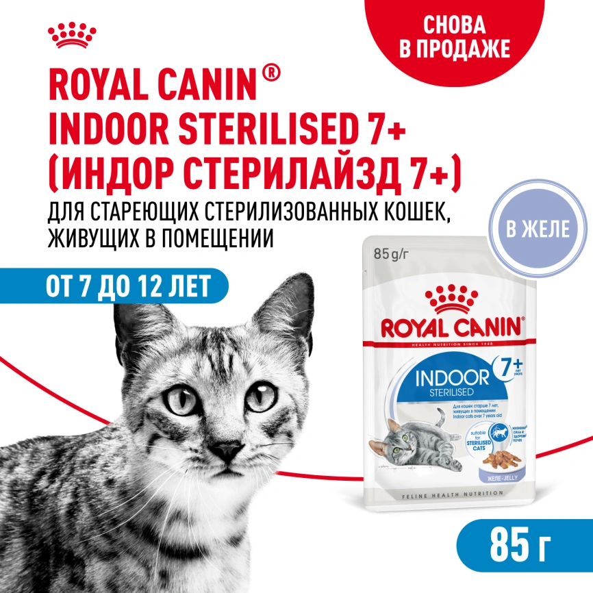 Влажный корм Royal Canin Indoor 7+ в желе для кошек старше 7 лет, живущих в помещении, пауч, 85 г фото 1