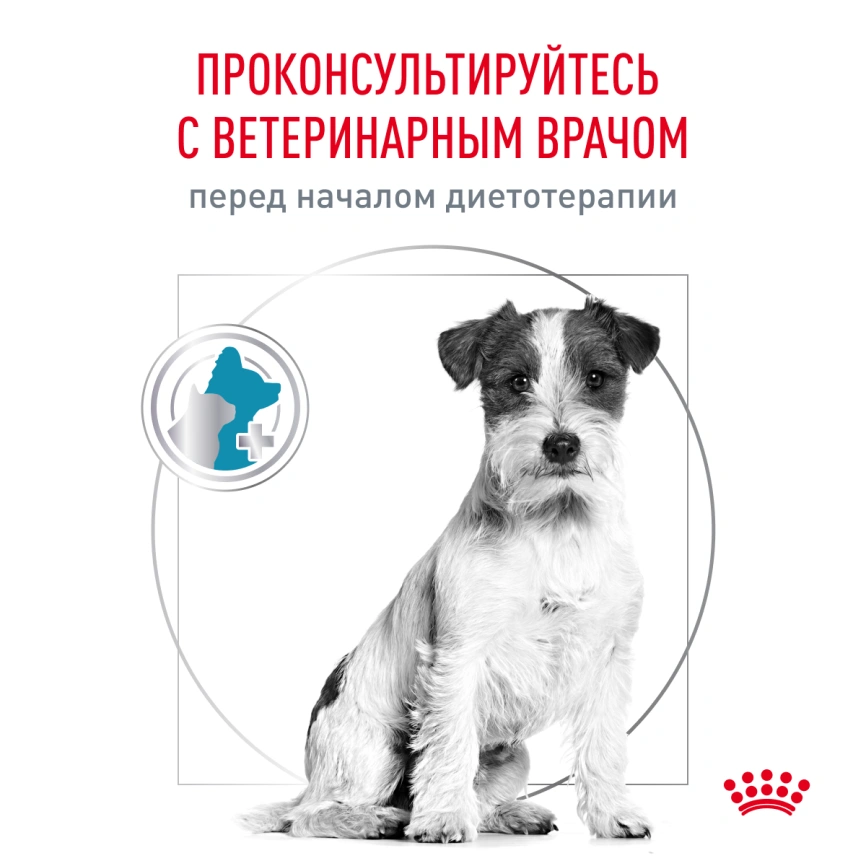Сухой корм Royal Canin Hypoallergenic Small Dogs для собак, 1 кг фото 8