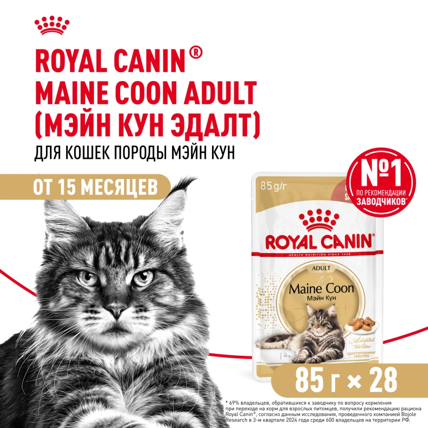 Влажный корм Royal Canin Maine Coon в соусе для кошек породы мейн-кун и других крупных пород старше 1 года, пауч, 85 г фото 13