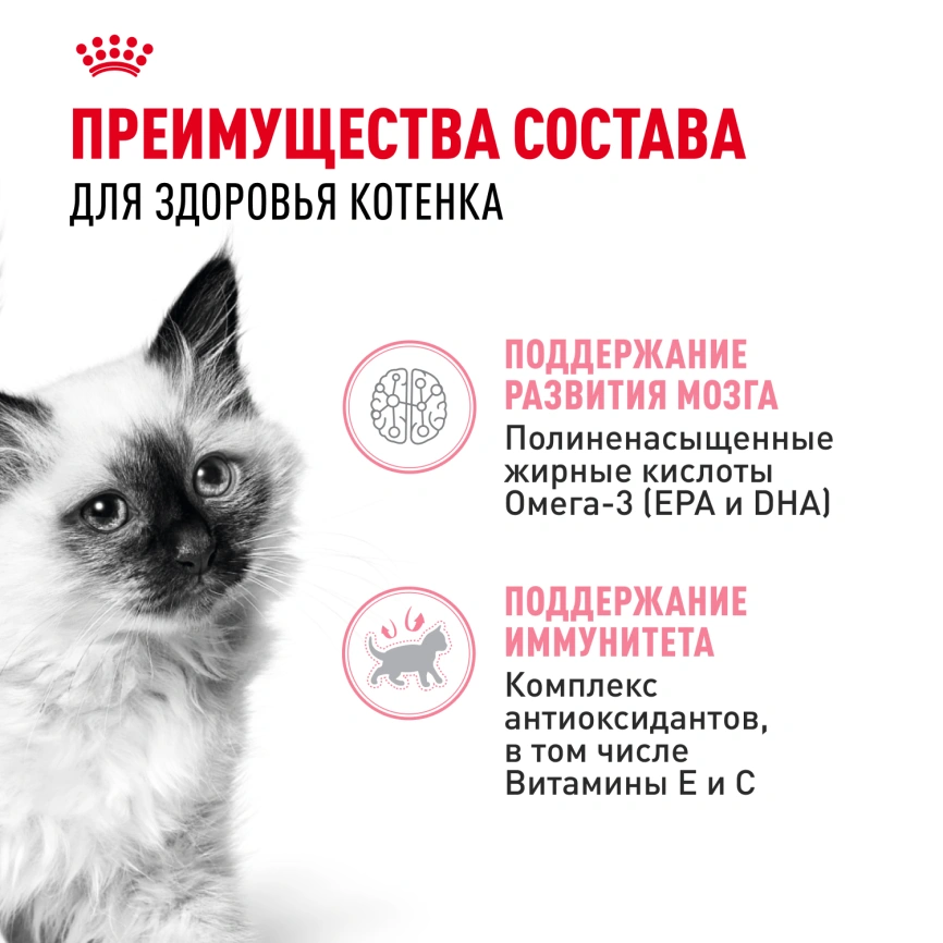 Влажный корм Royal Canin Kitten в желе для котят до 12 месяцев, пауч, 85 г фото 3