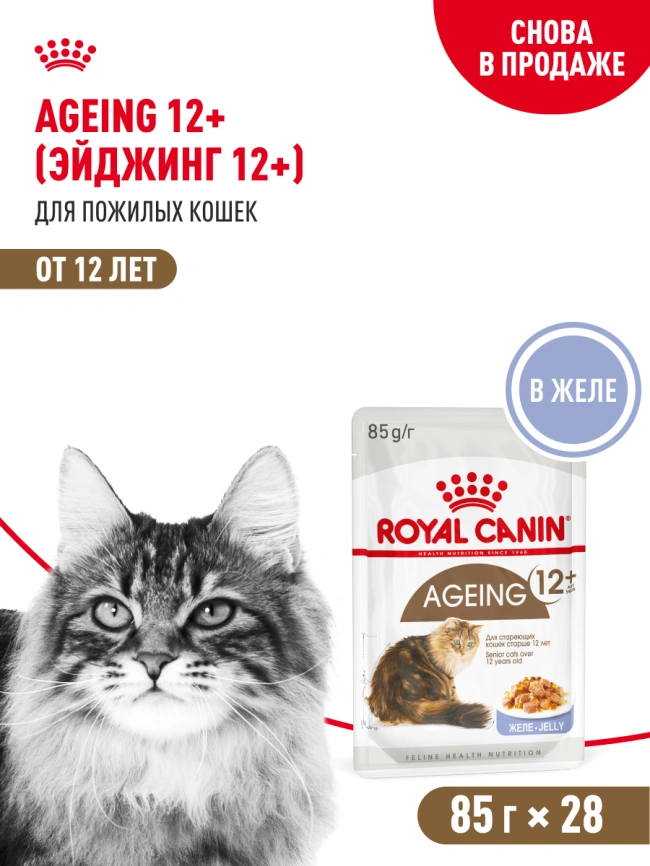 Влажный корм Royal Canin Ageing 12+ в желе для стареющих кошек старше 12 лет, пауч, 85 г фото 13