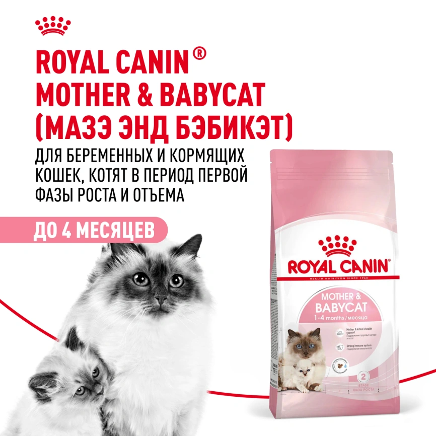 Сухой корм Royal Canin Mother & Babycat для котят, беременных и лактирующих кошек, 2 кг фото 12
