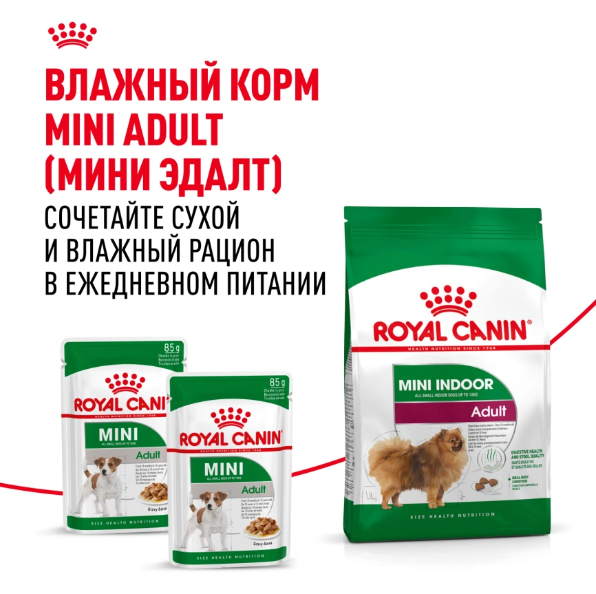 Сухой корм Royal Canin Mini Indoor Adult для собак, 10 кг фото 9