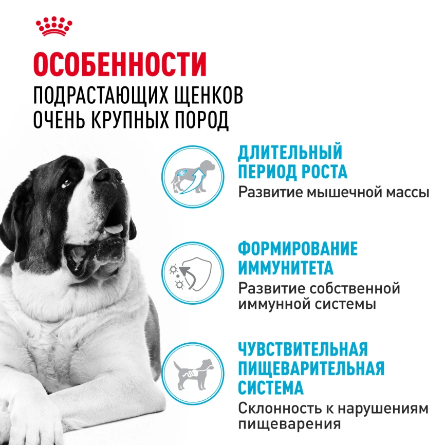 Сухой корм Royal Canin Giant Junior для щенков, 15 кг фото 2