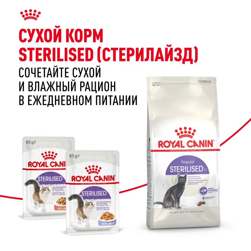 Влажный корм Royal Canin Sterilised в соусе для стерилизованных кошек старше 1 года, пауч, 85 г фото 19