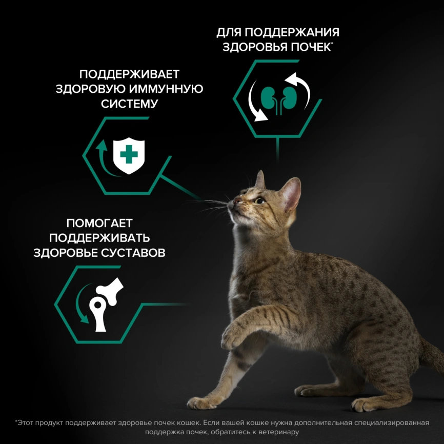 Сухой корм Purina Pro Plan Cat Adult Original для взрослых кошек, с курицей, 1.5 кг фото 2