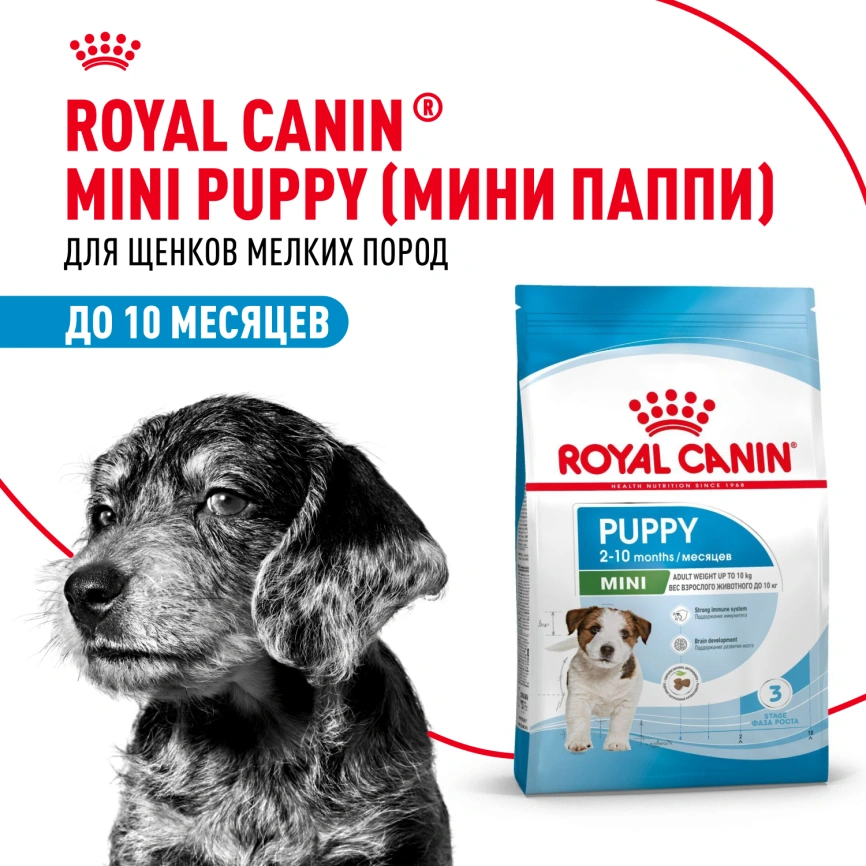 Сухой корм Royal Canin Mini Puppy для щенков, 800 г фото 13