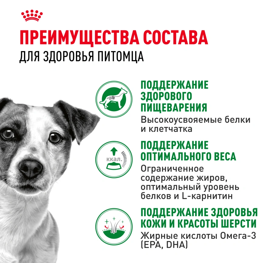 Влажный корм Royal Canin Mini Adult в соусе для взрослых собак мелких пород старше 10 месяцев, пауч, 85 г фото 10