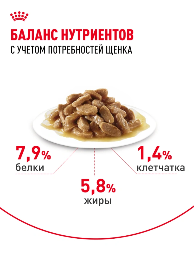 Влажный корм Royal Canin Mini Puppy в соусе для щенков мелких пород до 10 месяцев, пауч, 85 г фото 4