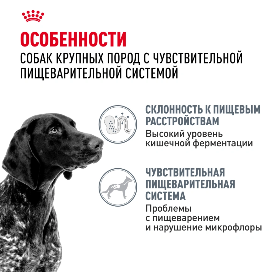 Сухой корм Royal Canin Maxi Digestive Care для собак, 3 кг фото 2