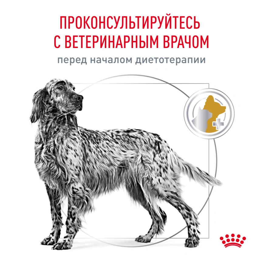 Сухой корм Royal Canin Urinary S/O для собак при мочекаменной болезни и цистите, 13 кг фото 7
