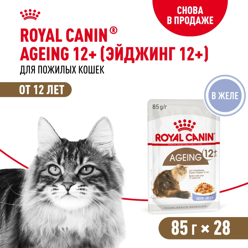 Влажный корм Royal Canin Ageing 12+ в желе для стареющих кошек старше 12 лет, пауч, 85 г фото 12