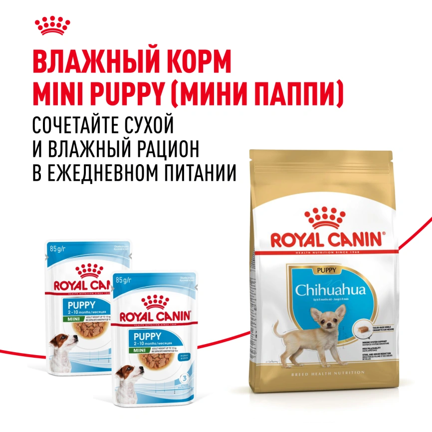 Сухой корм Royal Canin Chihuahua Puppy для щенков породы чихуахуа, 500 г фото 8