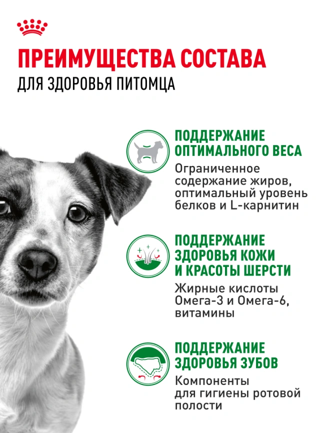 Сухой корм Royal Canin Mini Adult для взрослых собак, 8 кг фото 17