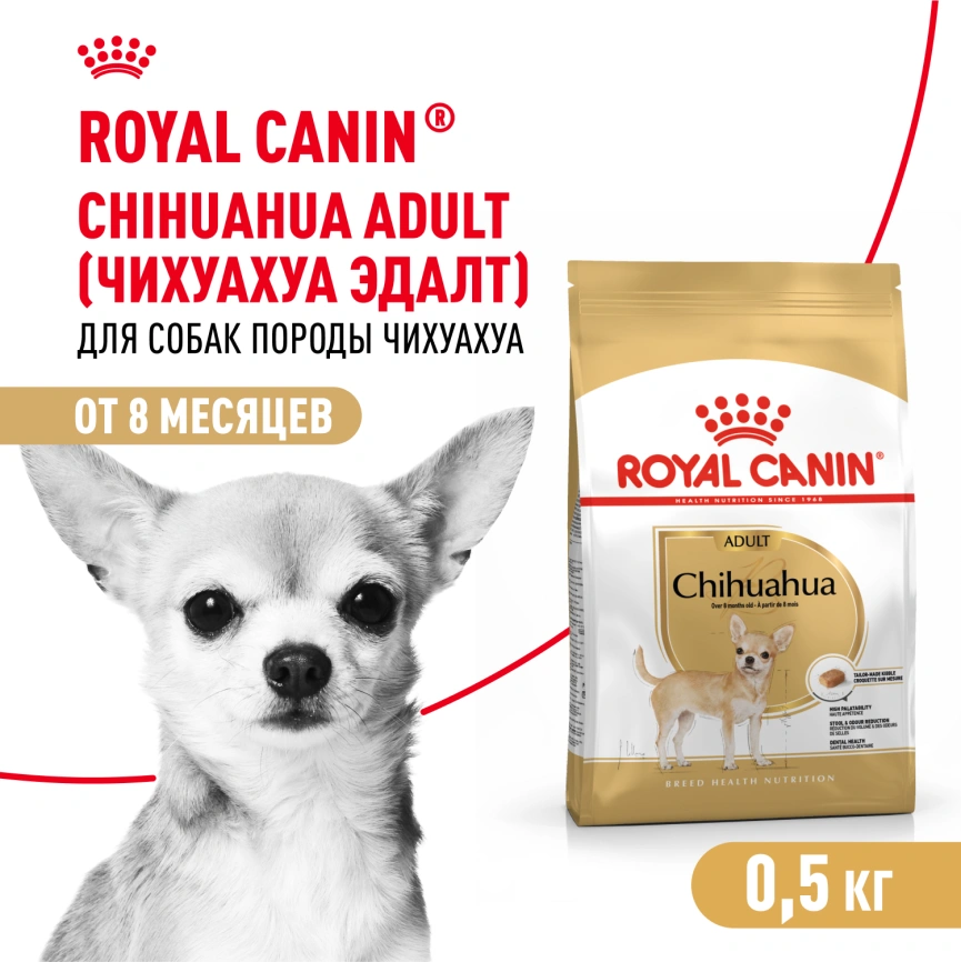 Сухой корм Royal Canin Chihuahua Adult для собак породы чихуахуа, 500 г фото 12