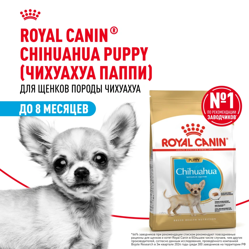 Сухой корм Royal Canin Chihuahua Puppy для щенков породы чихуахуа, 1.5 кг фото 13