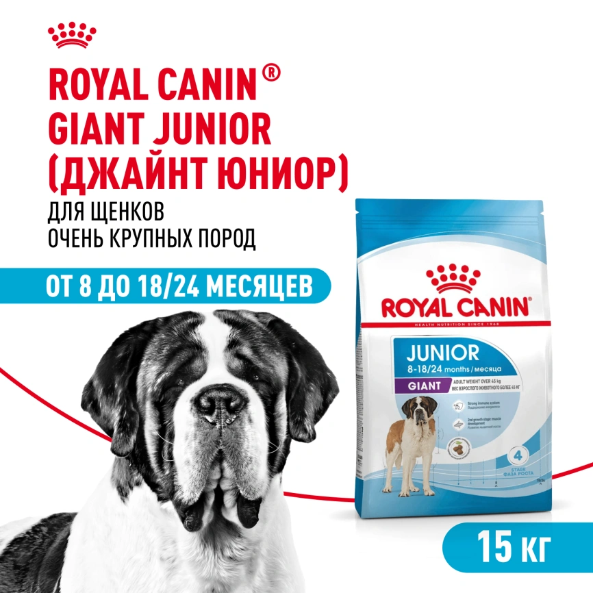 Сухой корм Royal Canin Giant Junior для щенков, 15 кг фото 1