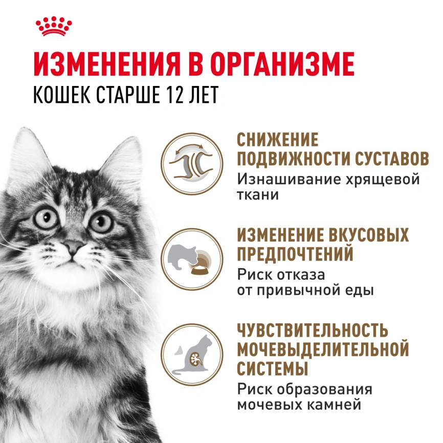 Влажный корм Royal Canin Ageing 12+ в желе для стареющих кошек старше 12 лет, пауч, 85 г фото 3