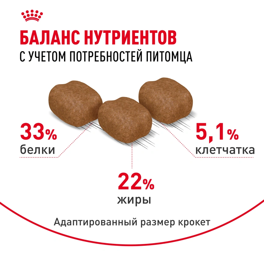 Сухой корм Royal Canin Hair & Skin Care для кошек, 2 кг фото 4