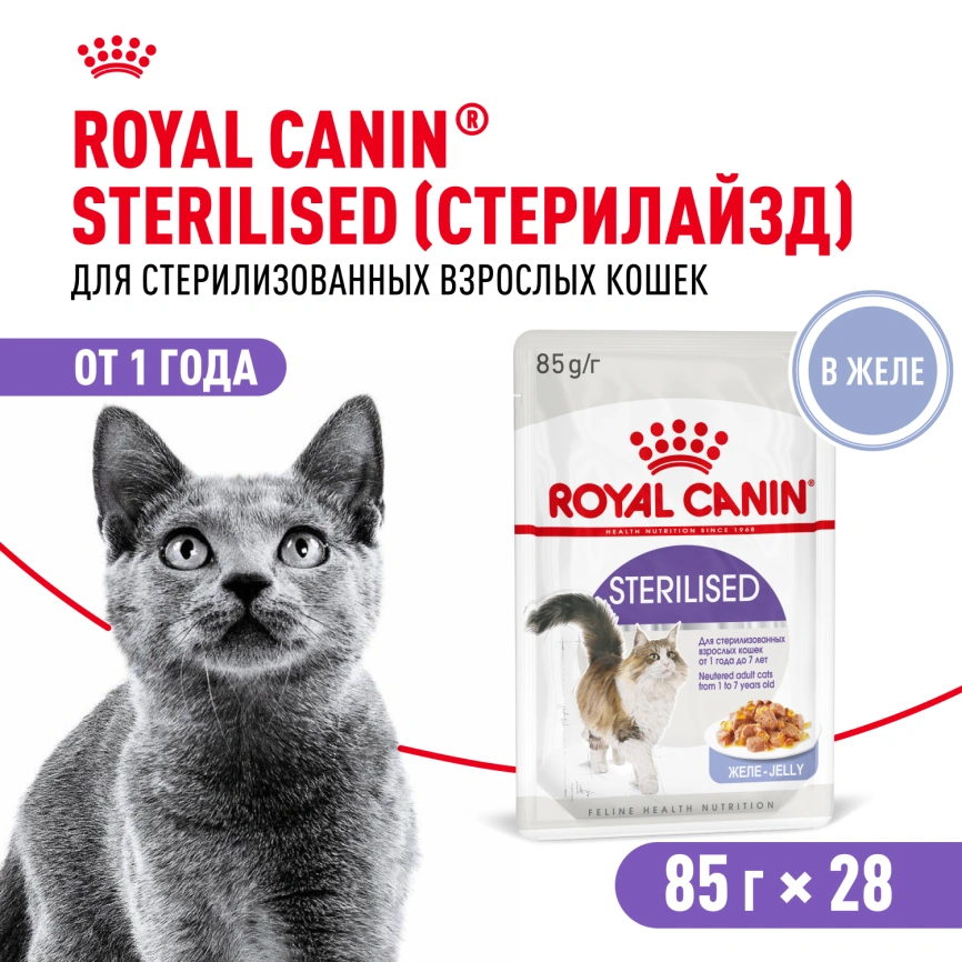 Влажный корм Royal Canin Sterilised в желе для стерилизованных кошек старше 1 года, пауч, 85 г фото 18