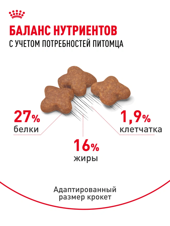 Сухой корм Royal Canin Mini Adult для взрослых собак, 8 кг фото 18