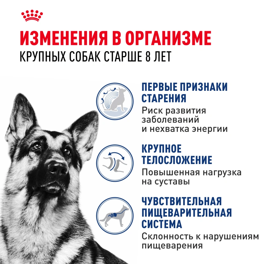 Сухой корм Royal Canin Maxi Ageing 8+ для собак, 15 кг фото 3