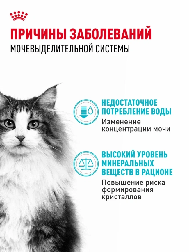 Сухой корм Royal Canin Urinary Care для поддержания здоровья мочевыделительной системы кошек, 2 кг фото 2