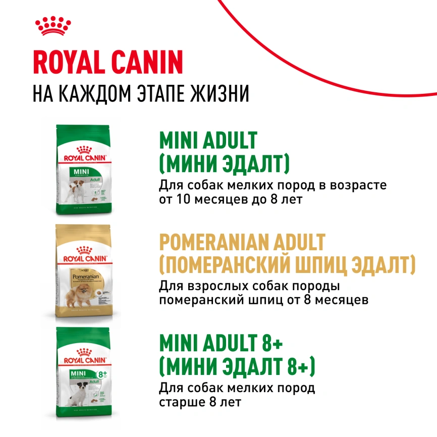 Сухой корм Royal Canin Mini Indoor Adult для собак, 10 кг фото 11