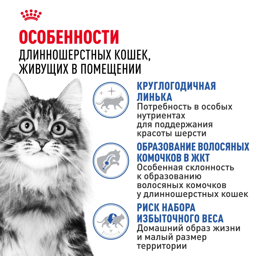 Сухой корм Royal Canin Indoor Long Hair для кошек, 2 кг фото 2