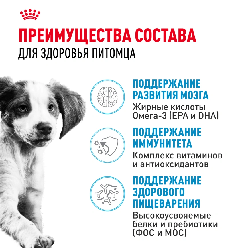 Сухой корм Royal Canin Medium Puppy для щенков, 14 кг фото 3