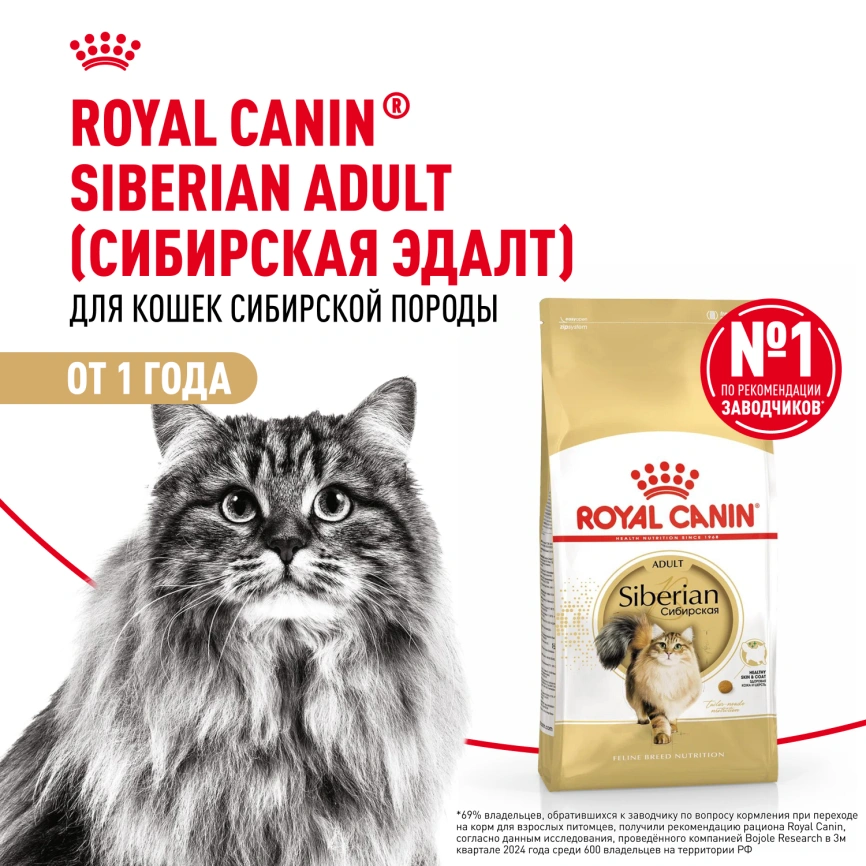 Сухой корм Royal Canin Siberian для кошек, 2 кг фото 12