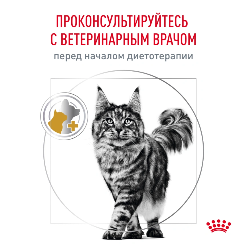 Влажный корм Royal Canin Urinary S/O в соусе для кошек при мочекаменной болезни, пауч, 85 г фото 7