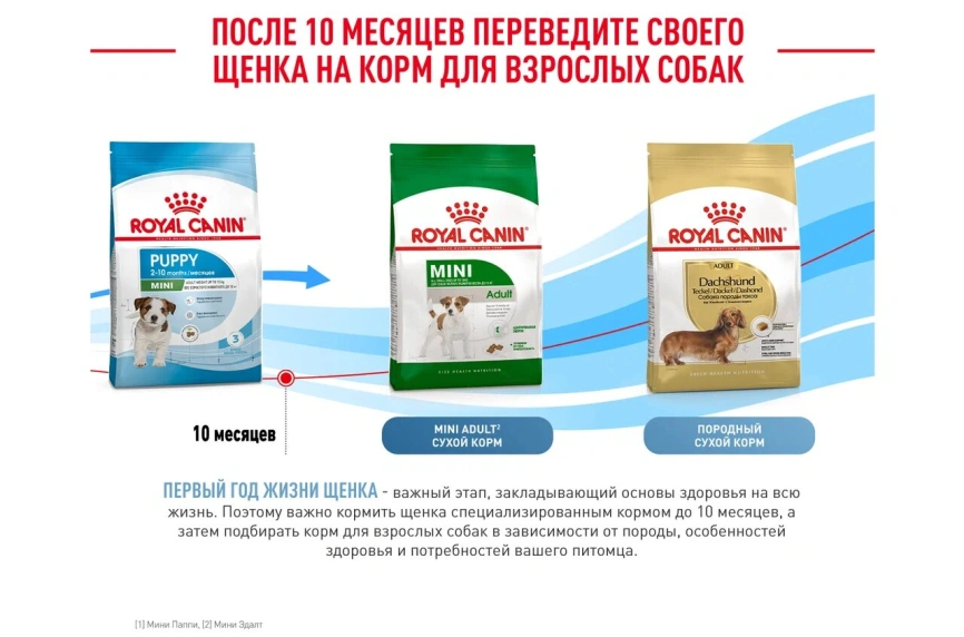 Сухой корм Royal Canin Mini Puppy для щенков, 800 г фото 17