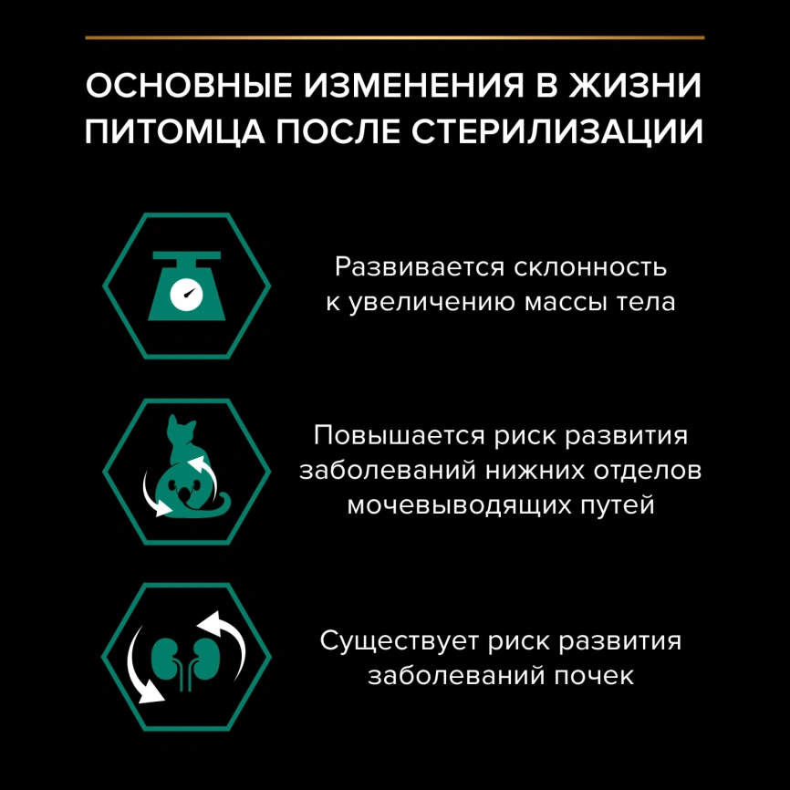 Влажный корм Purina Pro Plan Sterilised Maintenance для стерилизованных кошек, с курицей в желе, 85 г фото 3