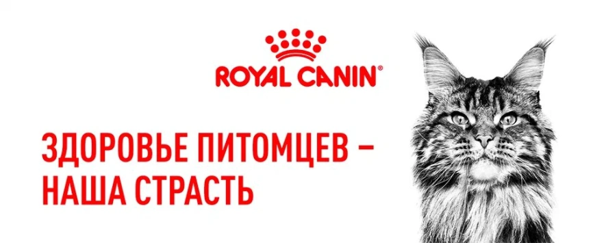 Сухой корм Royal Canin Sterilised для кастрированных котов и стерилизованных кошек, фото 14