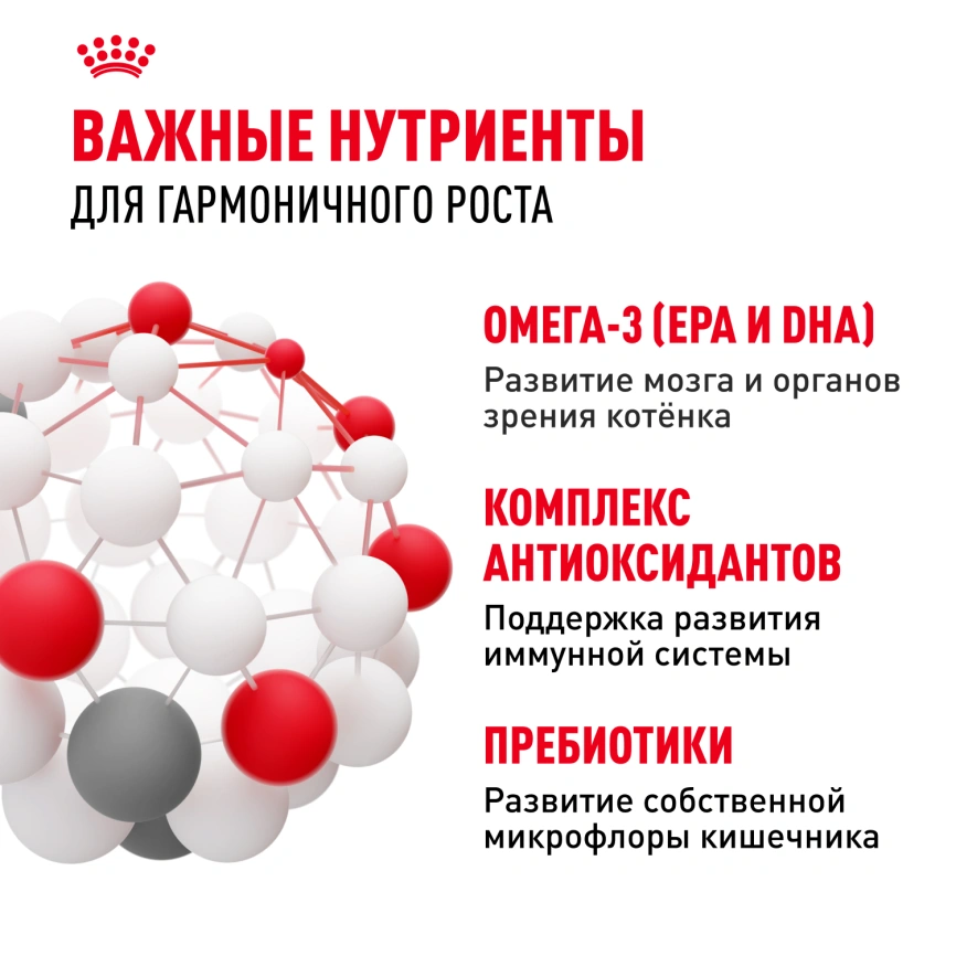 Сухой корм Royal Canin Kitten для котят, 2 кг фото 5