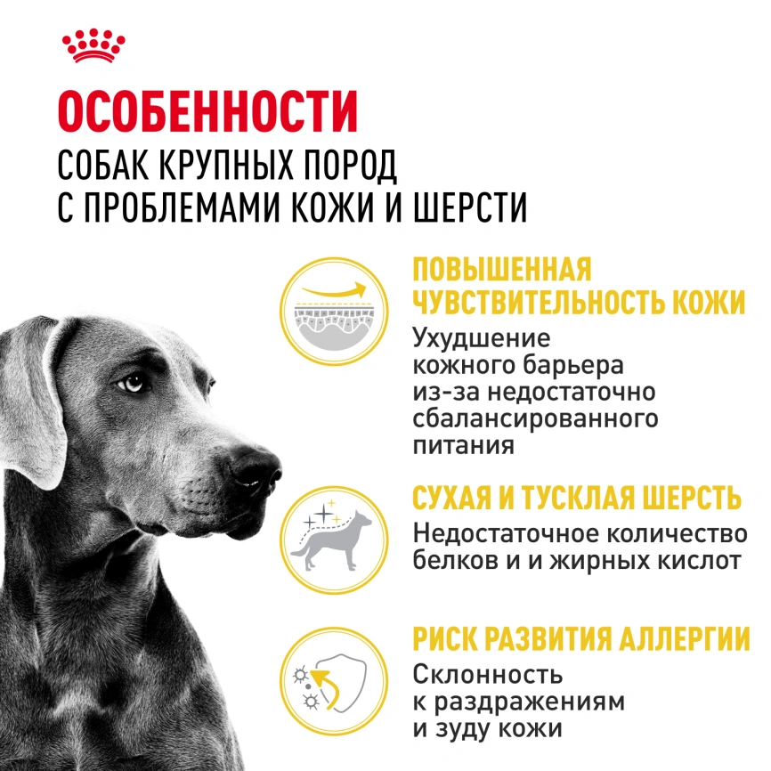 Сухой корм Royal Canin Maxi Dermacomfort для собак, 10 кг фото 2