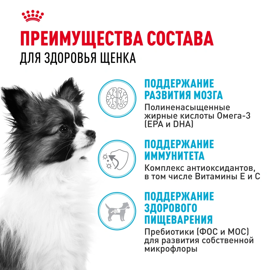 Сухой корм Royal Canin X-Small Puppy для щенков, 1.5 кг фото 3