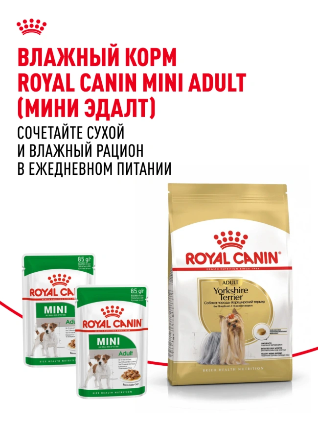 Сухой корм Royal Canin Yorkshire Terrier Adult для взрослых собак, 500 г фото 23